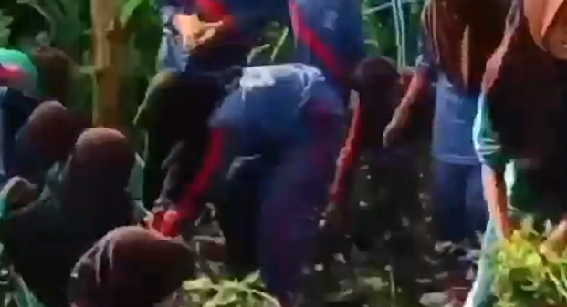 BUMAN MENTAH Sulap Taman Sekolah Menjadi Apotik Hidup