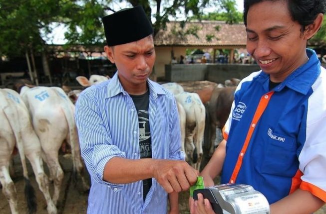 BRI Salurkan KUR Rp31,42 Triliun hingga April 2026, 643 Ribu UMKM Terbantu dan Sektor Pertanian Dominasi