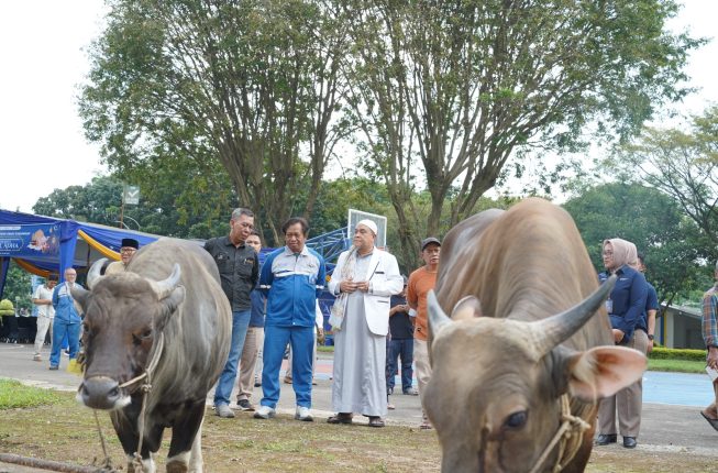 PT Pusri Palembang Serahkan Bantuan Hewan Kurban untuk Warga Sekitar Perusahaan